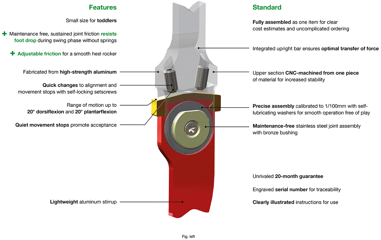 Features Basic Ankle Joint