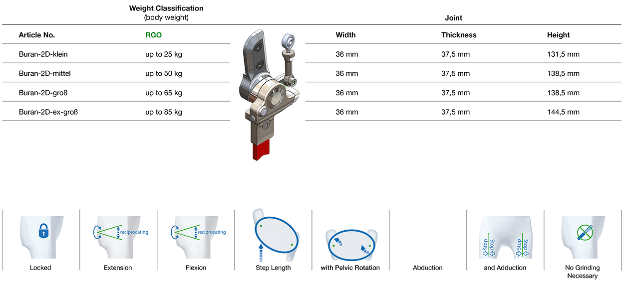Buran Hip Joint Classifikation
