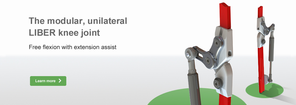 Liber + Liber Extensor Knee Joints